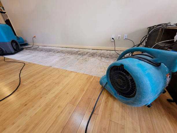 Reliable Basement Flood Cleanup contractor in Oswego, IL by Hirex Water Damage