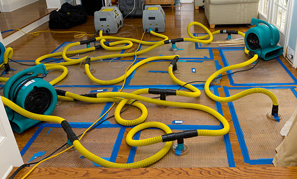 Professional Basement Flood Cleanup technician working in Oswego, IL